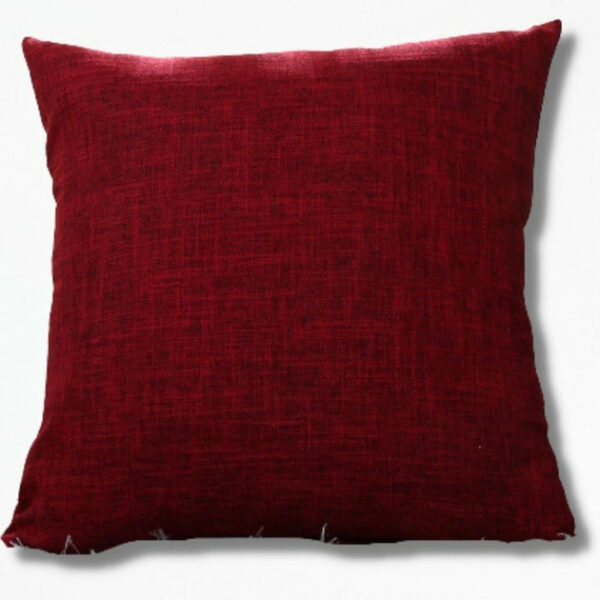 Coussin Rouge D’extérieur Écarlate