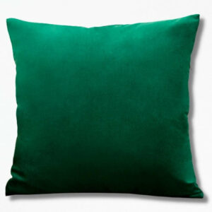 Coussin Vert Canard SapphireVelvet